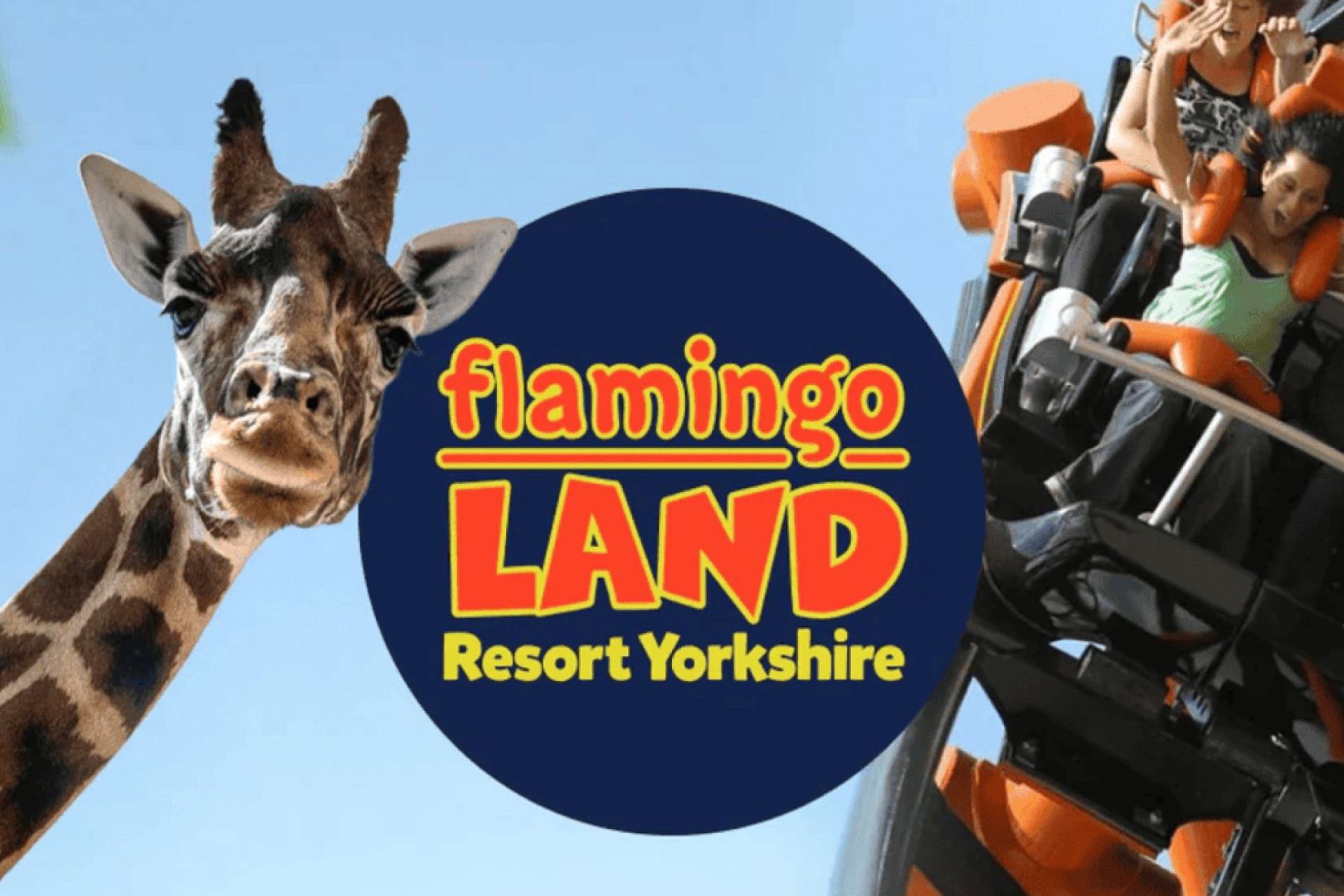 Flamingo Land