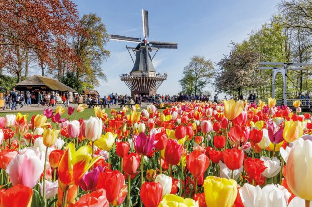 The Netherlands