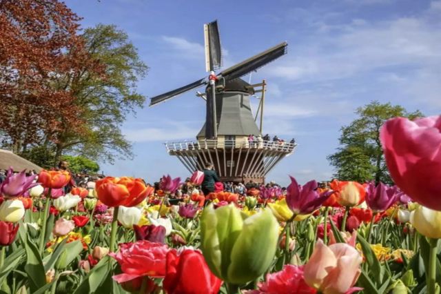 Netherlands