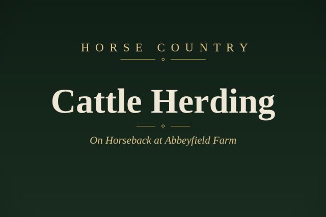 Cattle Herding on Horseback