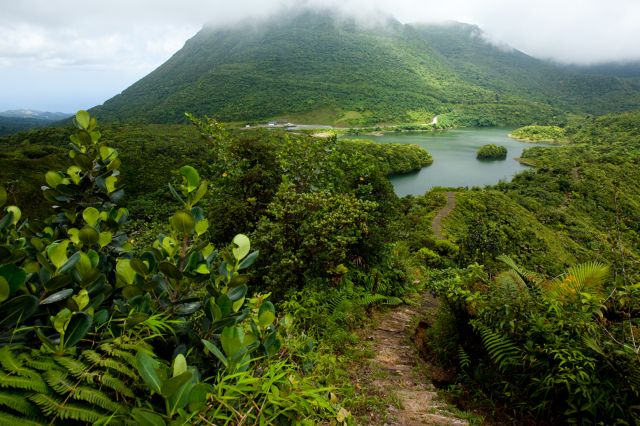 From Miami To Dominica